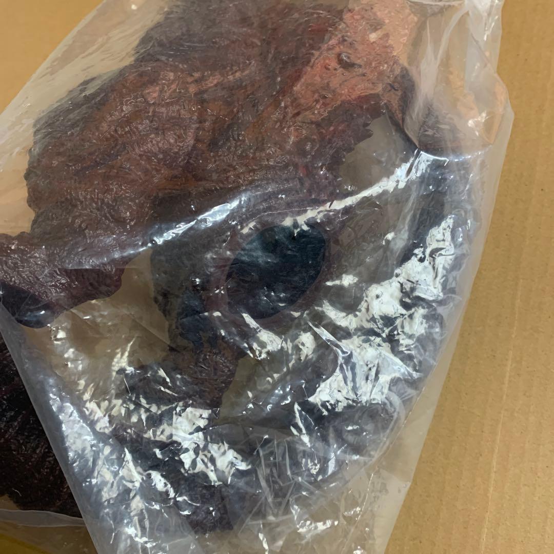 レトロソフビシリーズ　シンゴジラ2016 第4形態　PassionTank