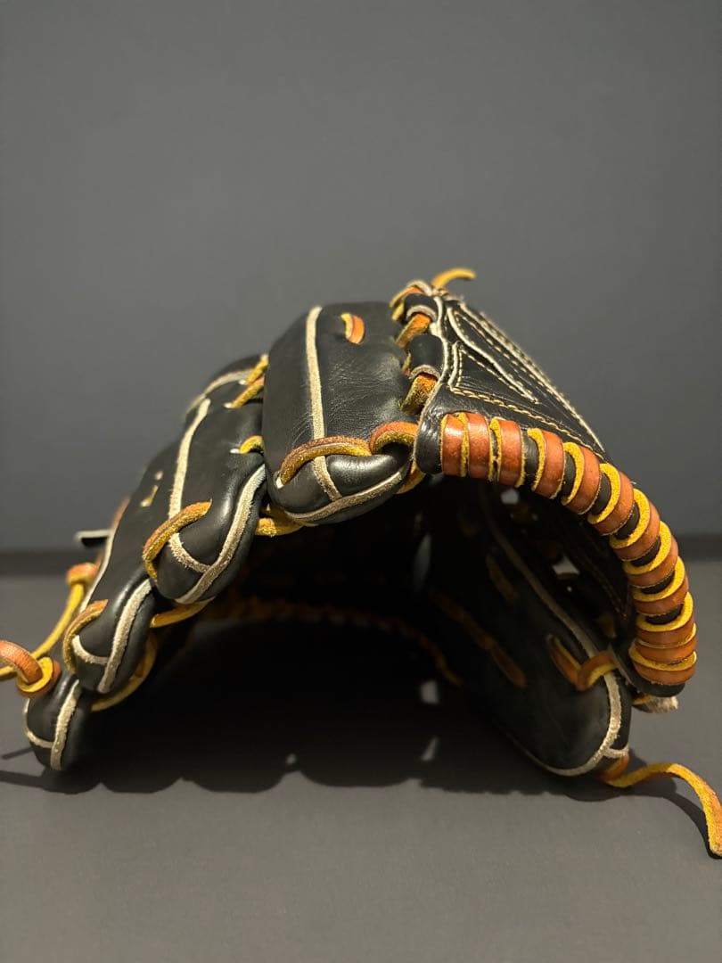 Ip Select アルモニーア オーダー 投手用グラブ 左投げ