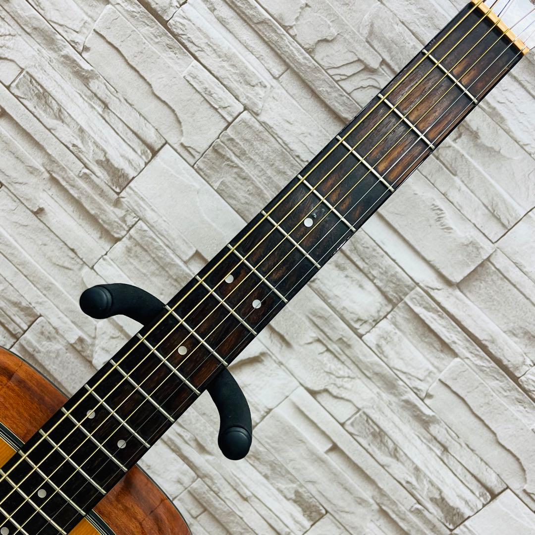 Morris ドレッドノートボディアコースティックギター M-01NAT