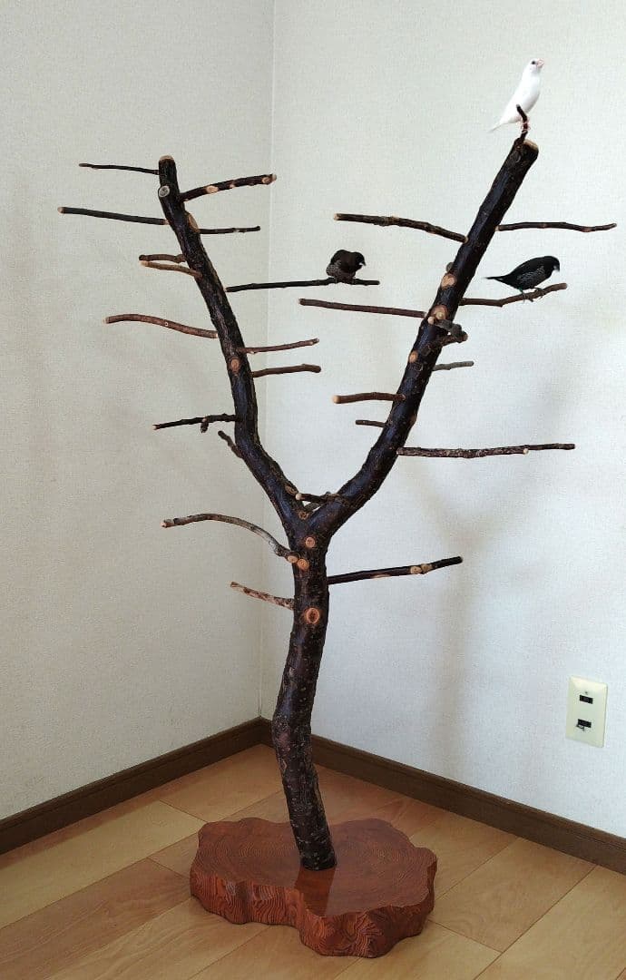 【フィンチ用】梅と桜のフィンチTree バードスタンド