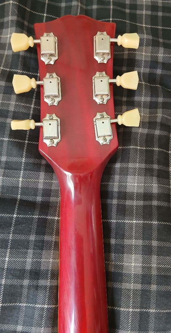 BurnySG-75AY 198's ''Abgus Young'' モデルSG