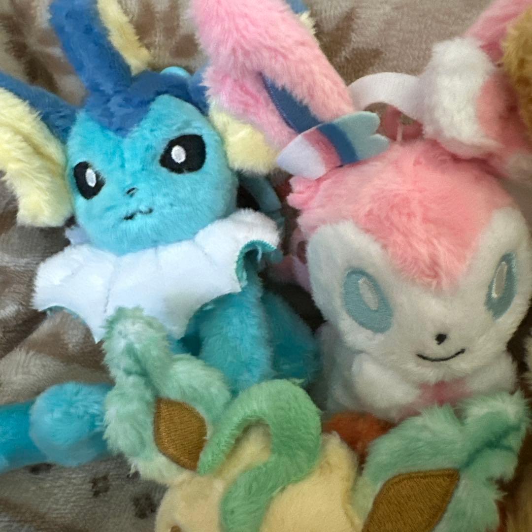 タグ付き ポケモンセンター カラビナ付きマスコット ぬいぐるみ ブイズセット
