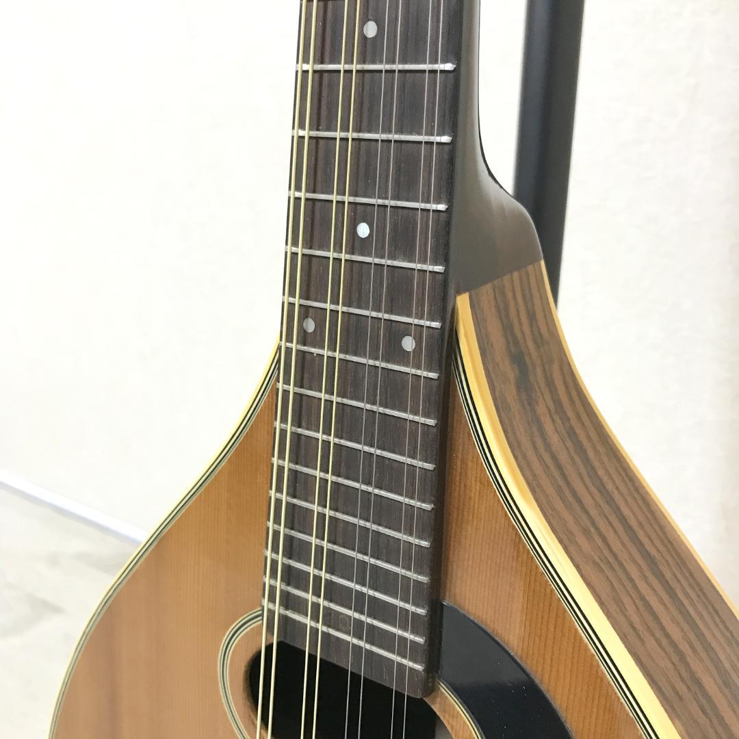 【希少/良品】JUMBO 田原楽器 フラットマンドリン Martin Style