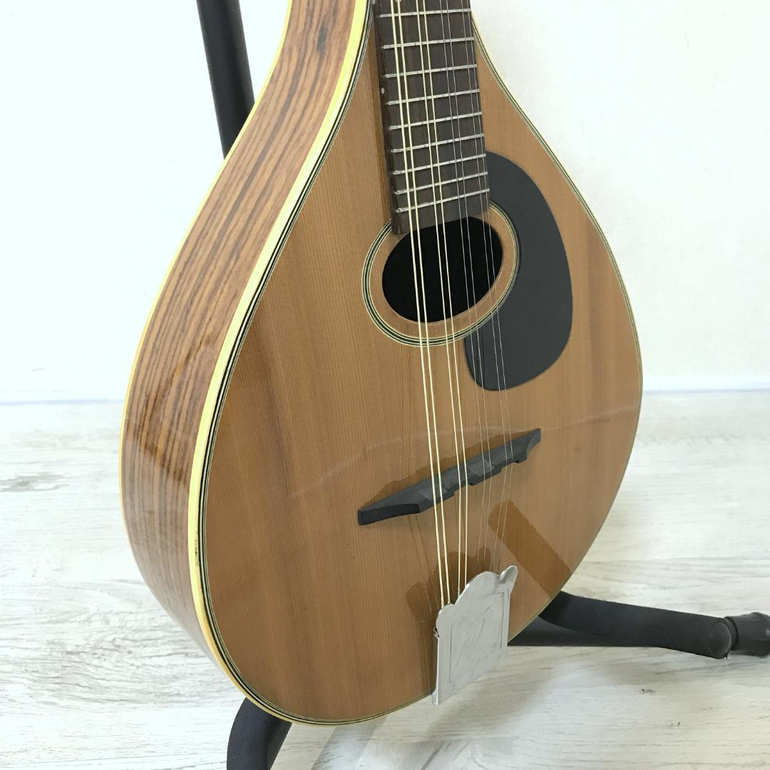 【希少/良品】JUMBO 田原楽器 フラットマンドリン Martin Style