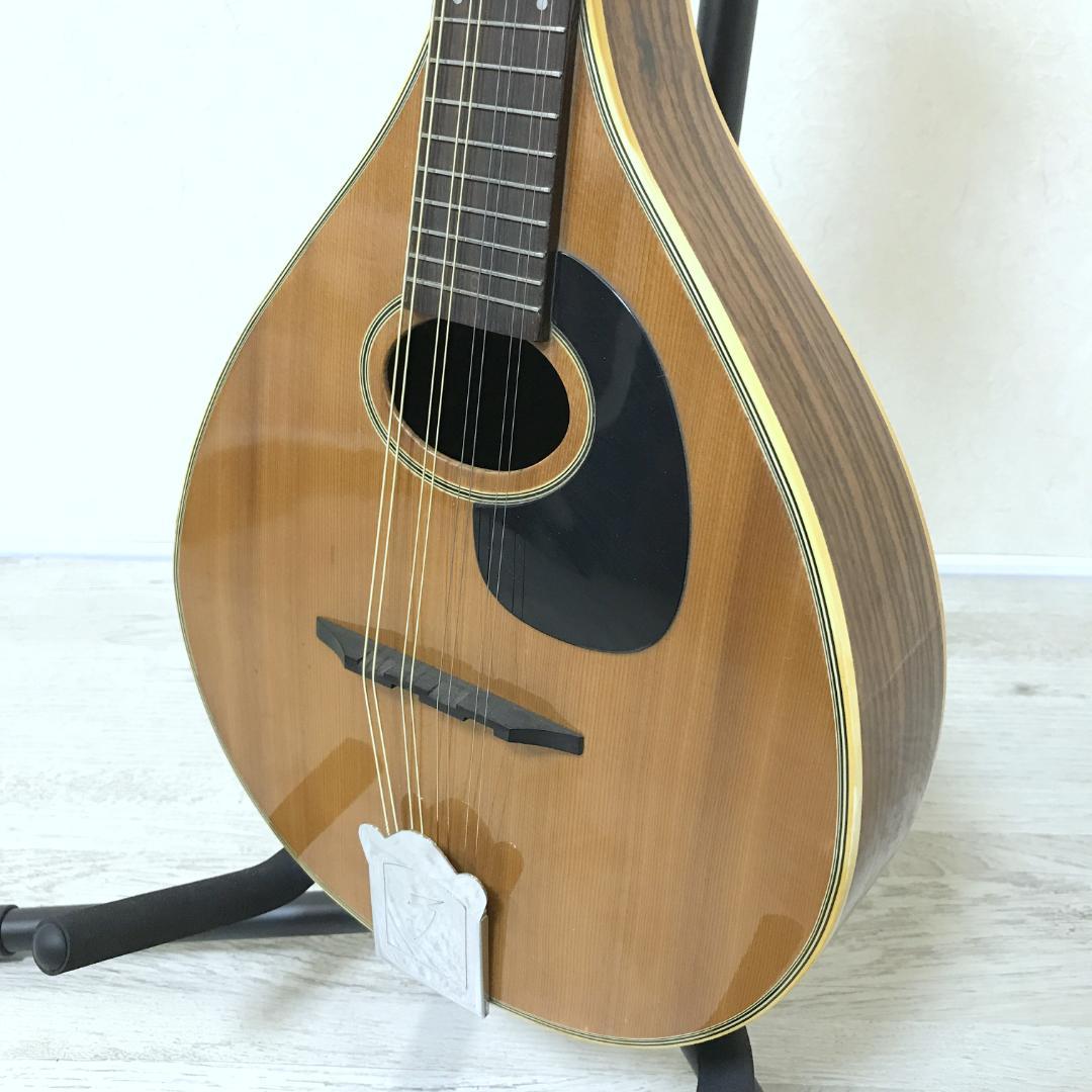 【希少/良品】JUMBO 田原楽器 フラットマンドリン Martin Style