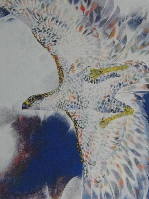 市野龍起、【大鷹】、希少な額装用画集より、新品額装付、状態良好