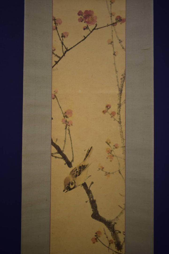真作/備後福山生/羽田桂舟/紅梅雀図/布袋屋掛軸HI-680
