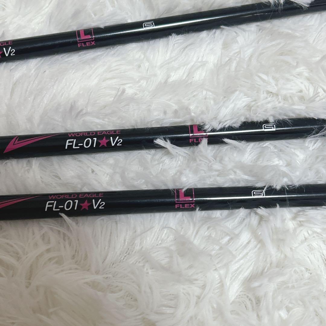 ワールドイーグル FL-01 V2 レディースクラブセット 10本 L 初心者