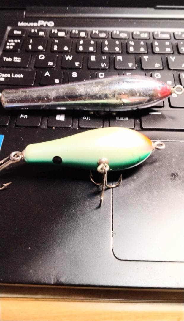 ルアー・フライ mots