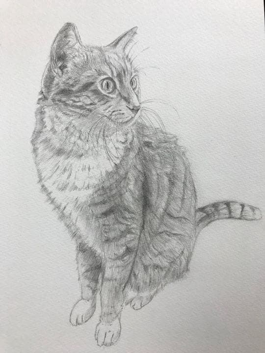 値下げしました！オリジナルのペットの鉛筆画