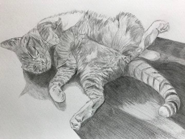 値下げしました！オリジナルのペットの鉛筆画