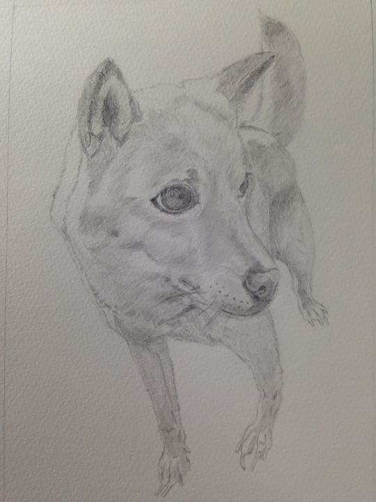 値下げしました！オリジナルのペットの鉛筆画