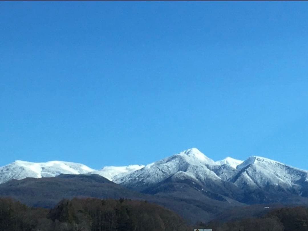 完全通年農薬不使用　令和7年度産うるち米こしひかり玄米　10kg