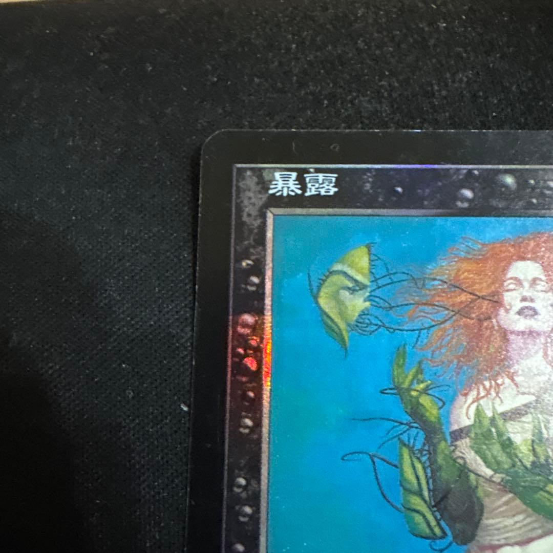 暴露 Unmask JP 日本語版 ホイル