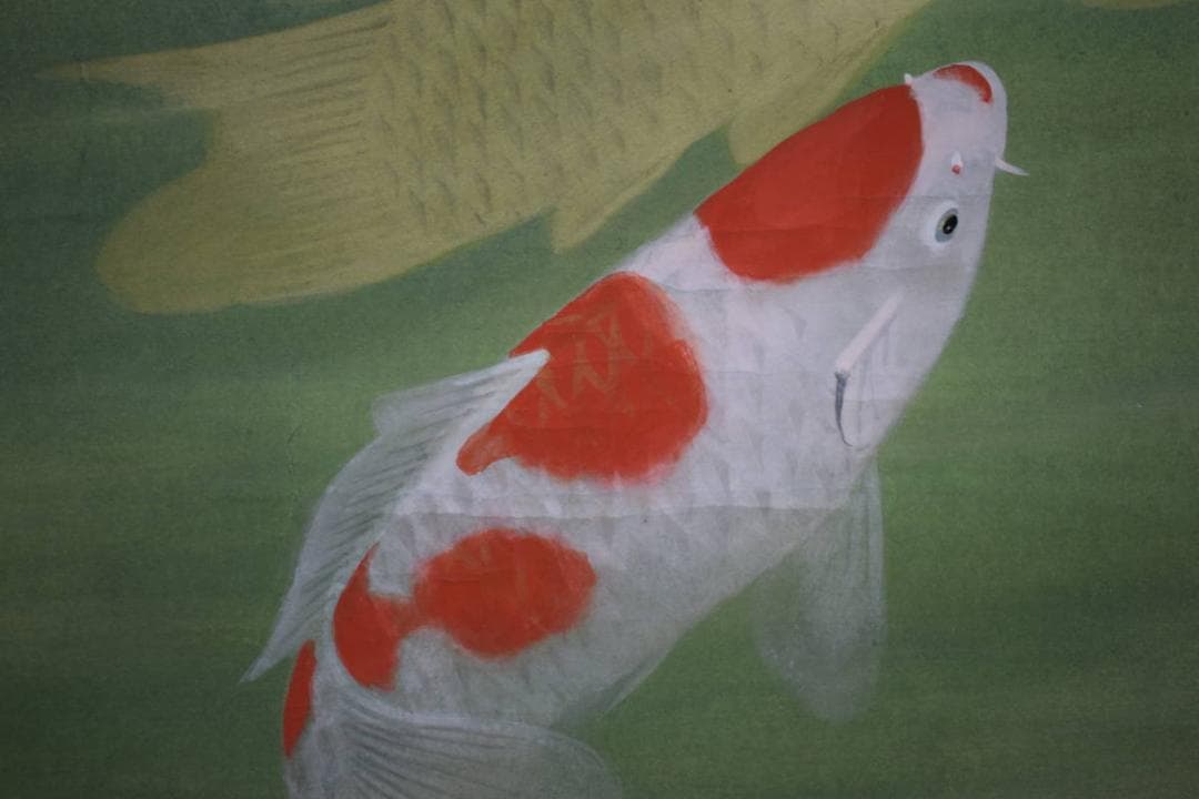 真作/川村憲邦/双鯉図/桐共箱太巻付/布袋屋掛軸HJ-108