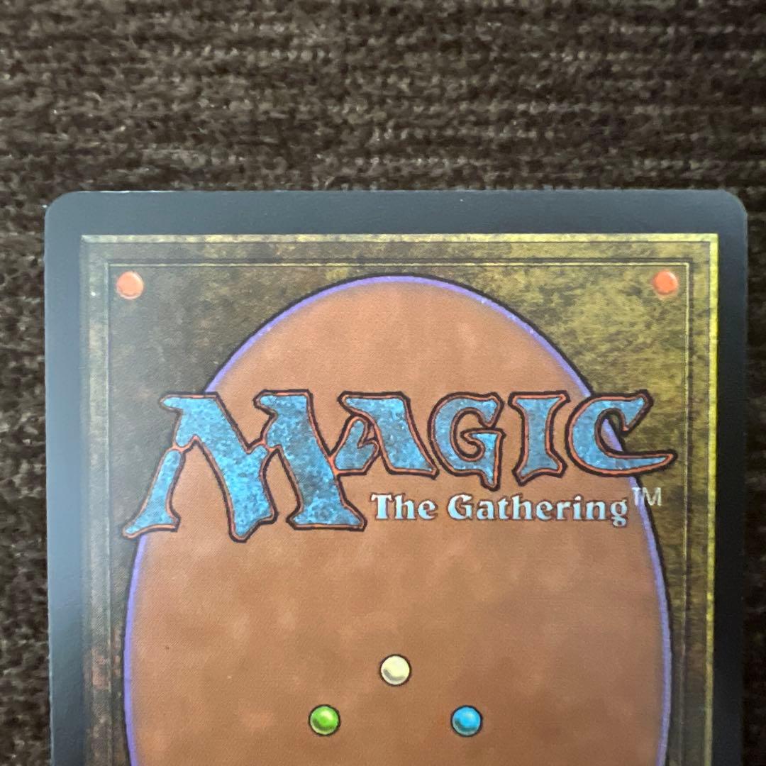 MTG TMP 大地の知識