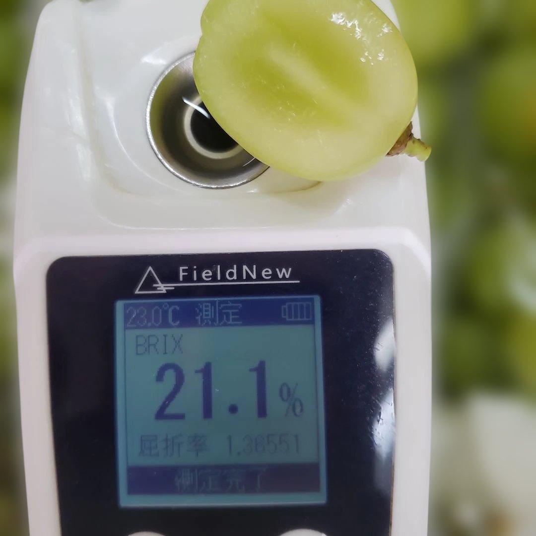 5️⃣ 山梨県産 シャインマスカット １１房入り 箱込み5.4キロ