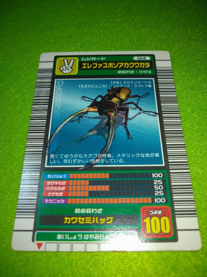 ムシキング 2003 初期 ロングバーコード　５点まとめ