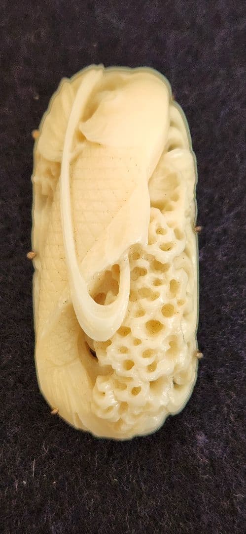 a*i様 帯留め‥白珊瑚