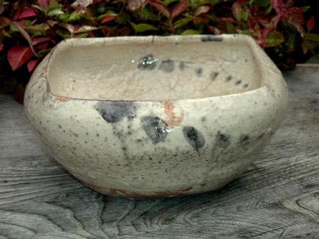 ♥絵志野　鉢　木箱付き　志野　建水　骨董品