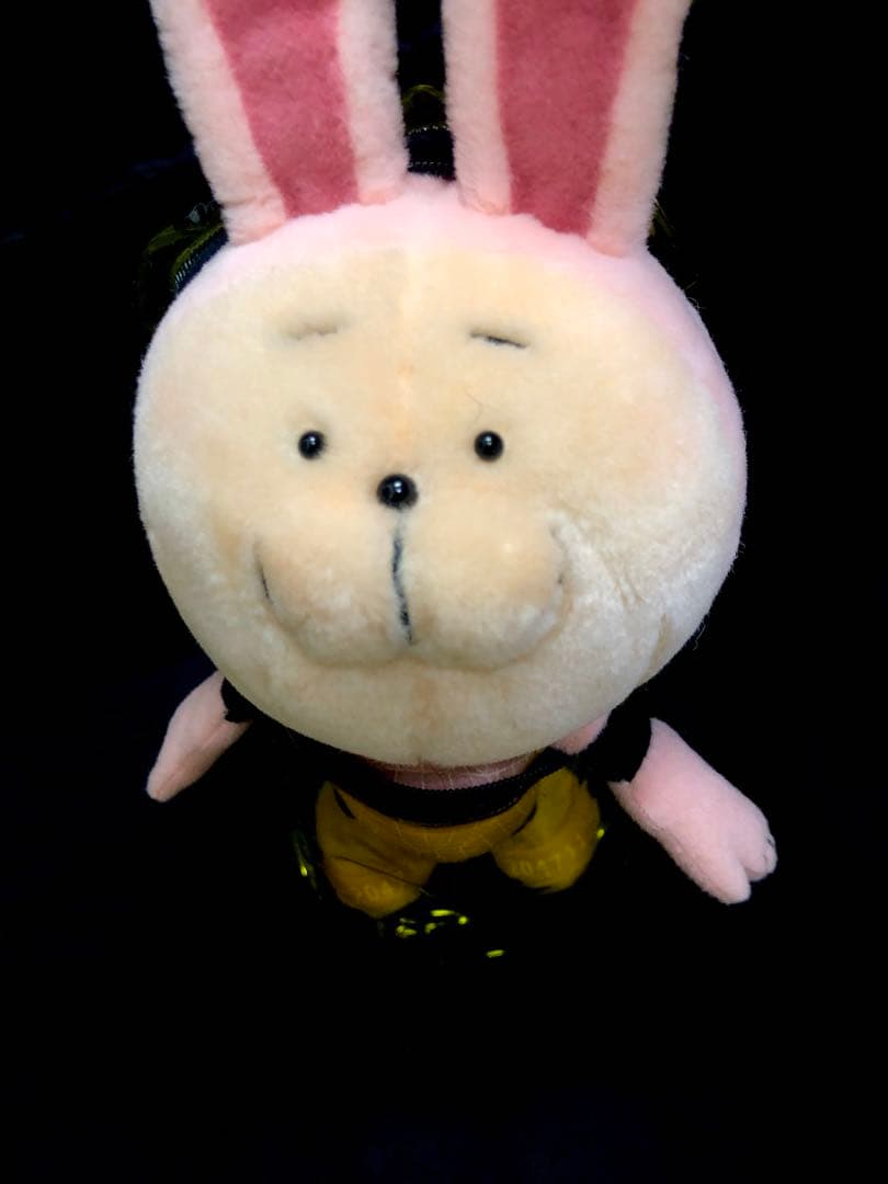 【新品入荷♪激レア！】20471120 うさぎHyoma soft toys♪