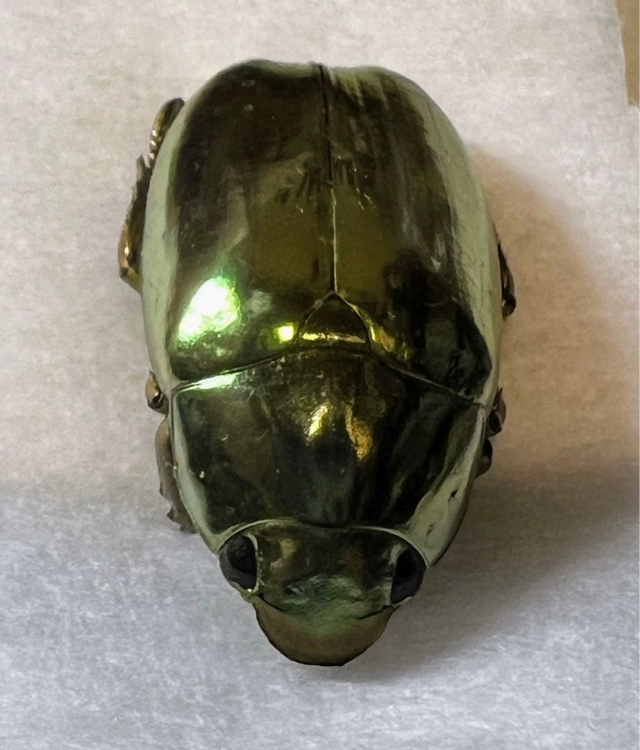 プラチナコガネ　バッテシー