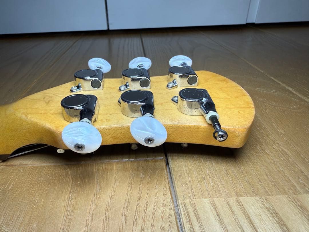 Pignose ピグノーズ 楽器 アンプ内蔵ミニギター