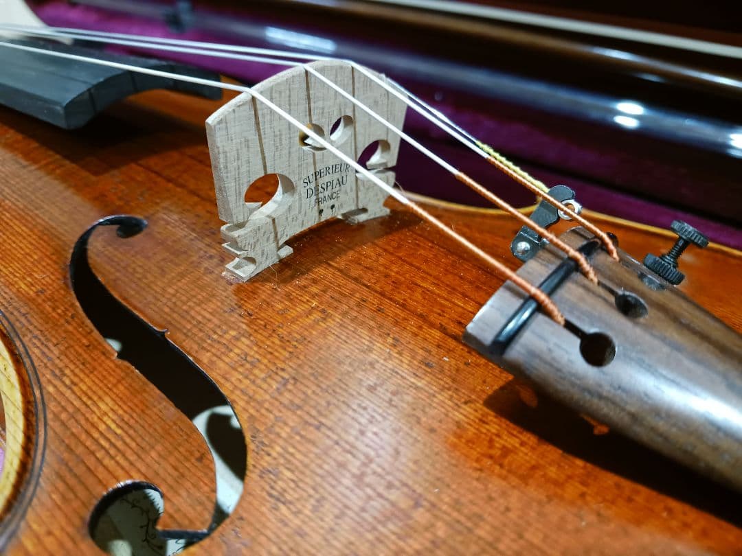 Ferenc Bela Vaci CDM-R 2006 バイオリン 中古