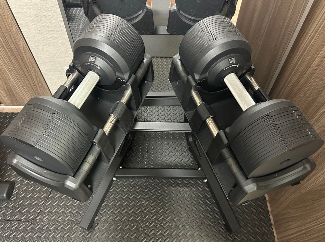 ライシン　プロバーベル 41.5kg 1.5kg刻み