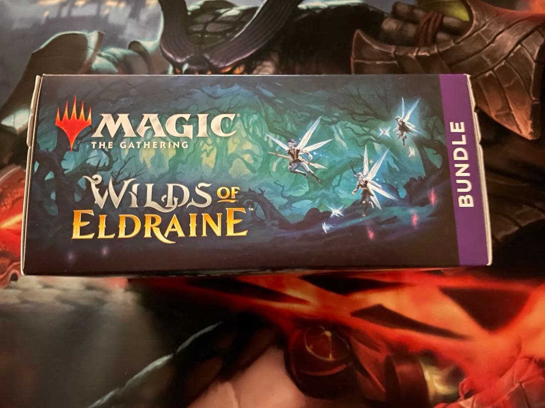 【MTG】エルドレインの森　《バンドル》《英語版》