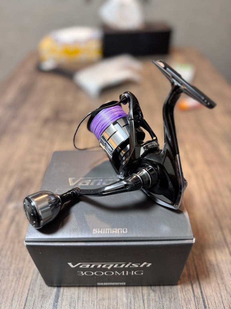 23ヴァンキッシュ　3000MHG