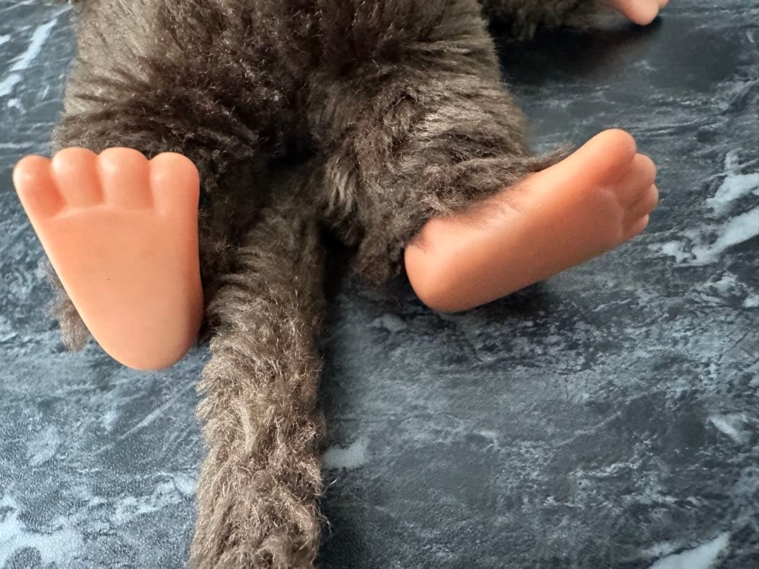 初代レア　セキグチ　モンチッチ