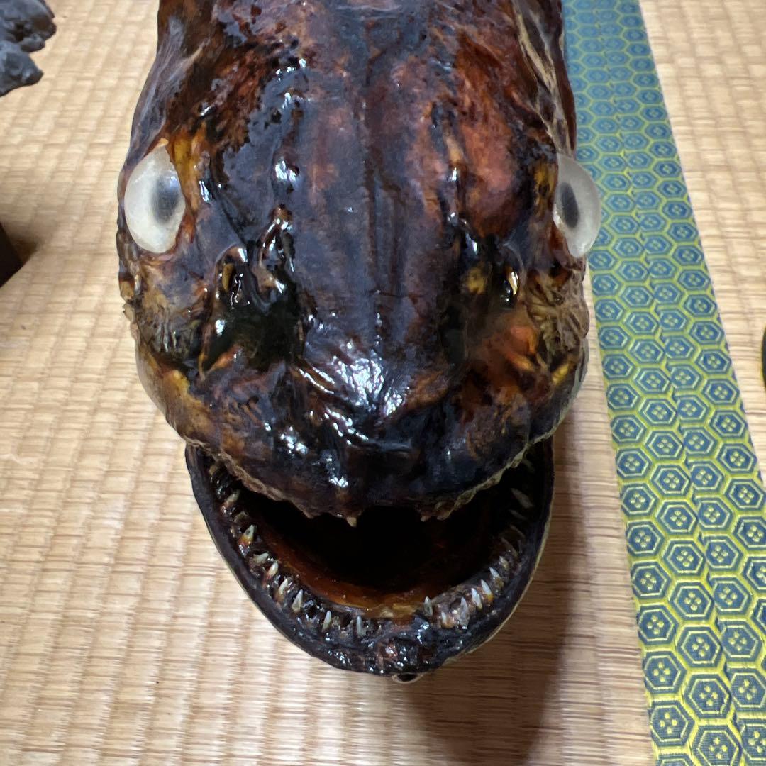 幻の魚 大型 94cm イトウ 剥製 標本