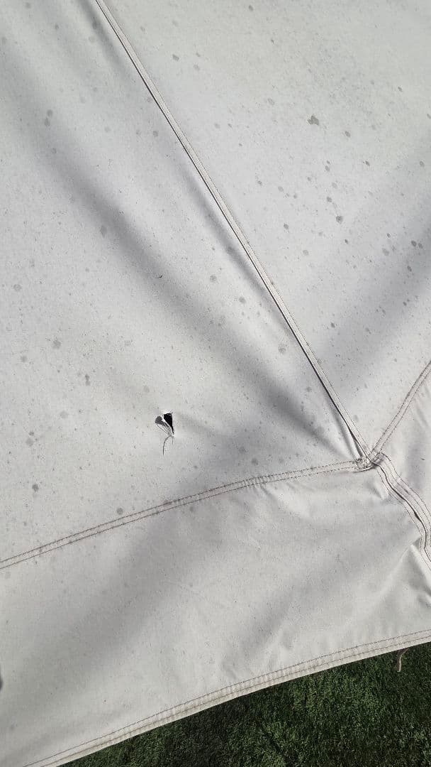 ノルディスク　アズガルド12.1