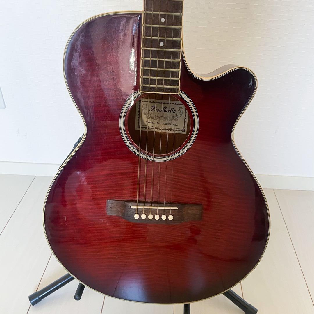 Pro Martin　custom　　EA500W　WRS エレアコ　ギター