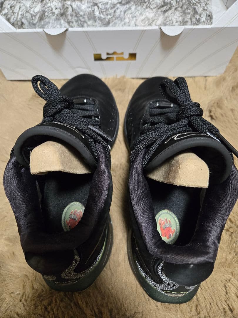 NIKE　レブロン21 EP Tahitian 27.0 LEBRON