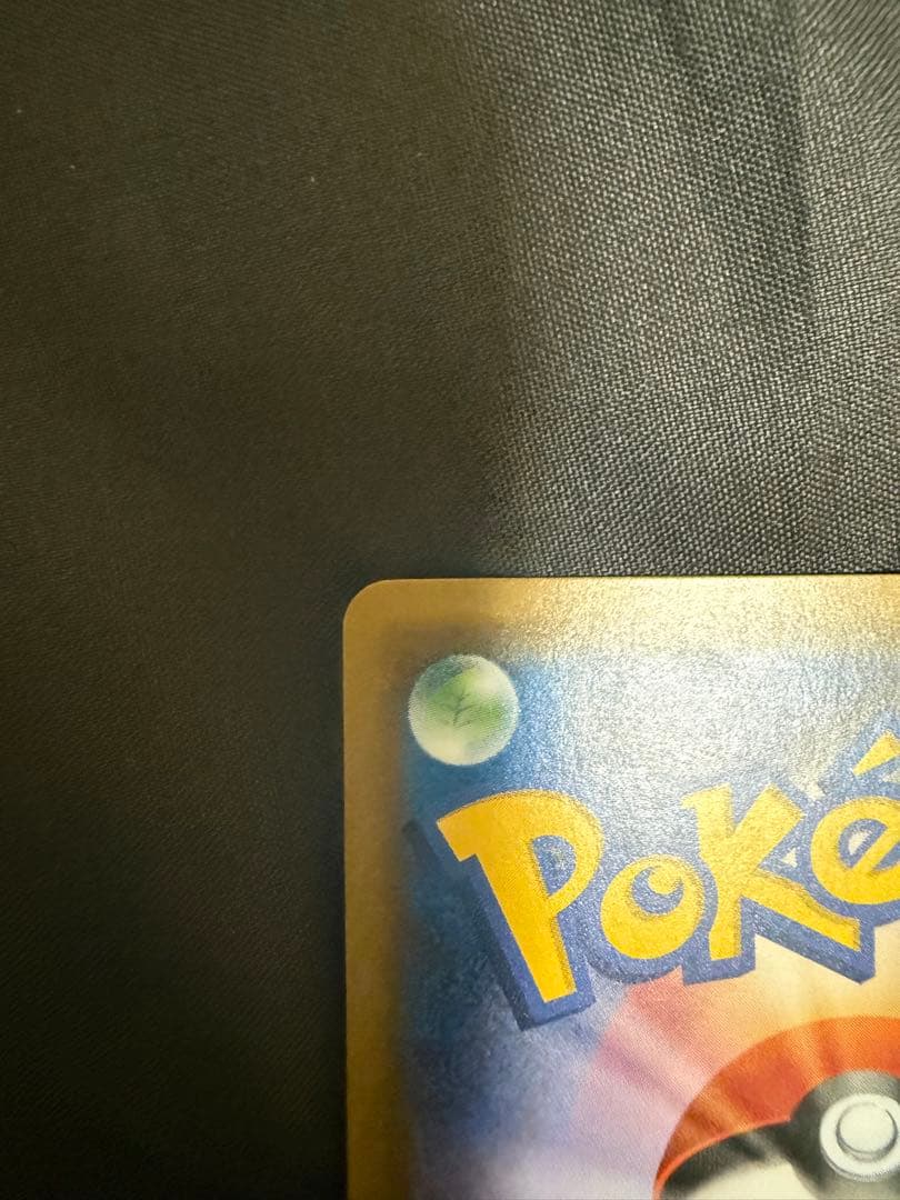 か*こ様 ピカチュウ＆ゼクロムSA