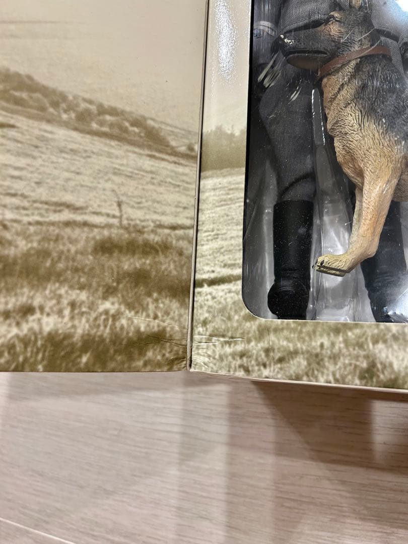 ドラゴンモデルズ　1/6 第二次世界大戦 ドイツ空軍　フィギュア