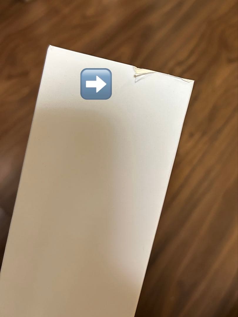 【未開封】安室奈美恵 ドール25th Anniversary クリスマスver.