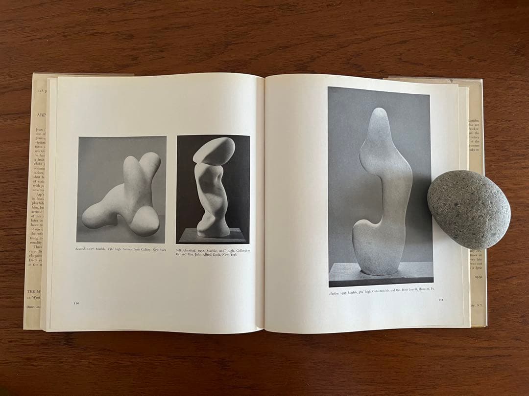 芸術写真 arp / The Museum of Modern Art