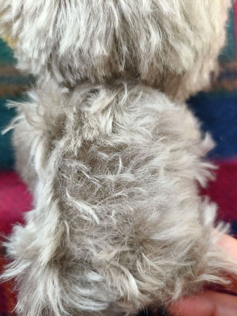 MERRYTHOUGHT メリーソート　パンキーロニー　75体限定品