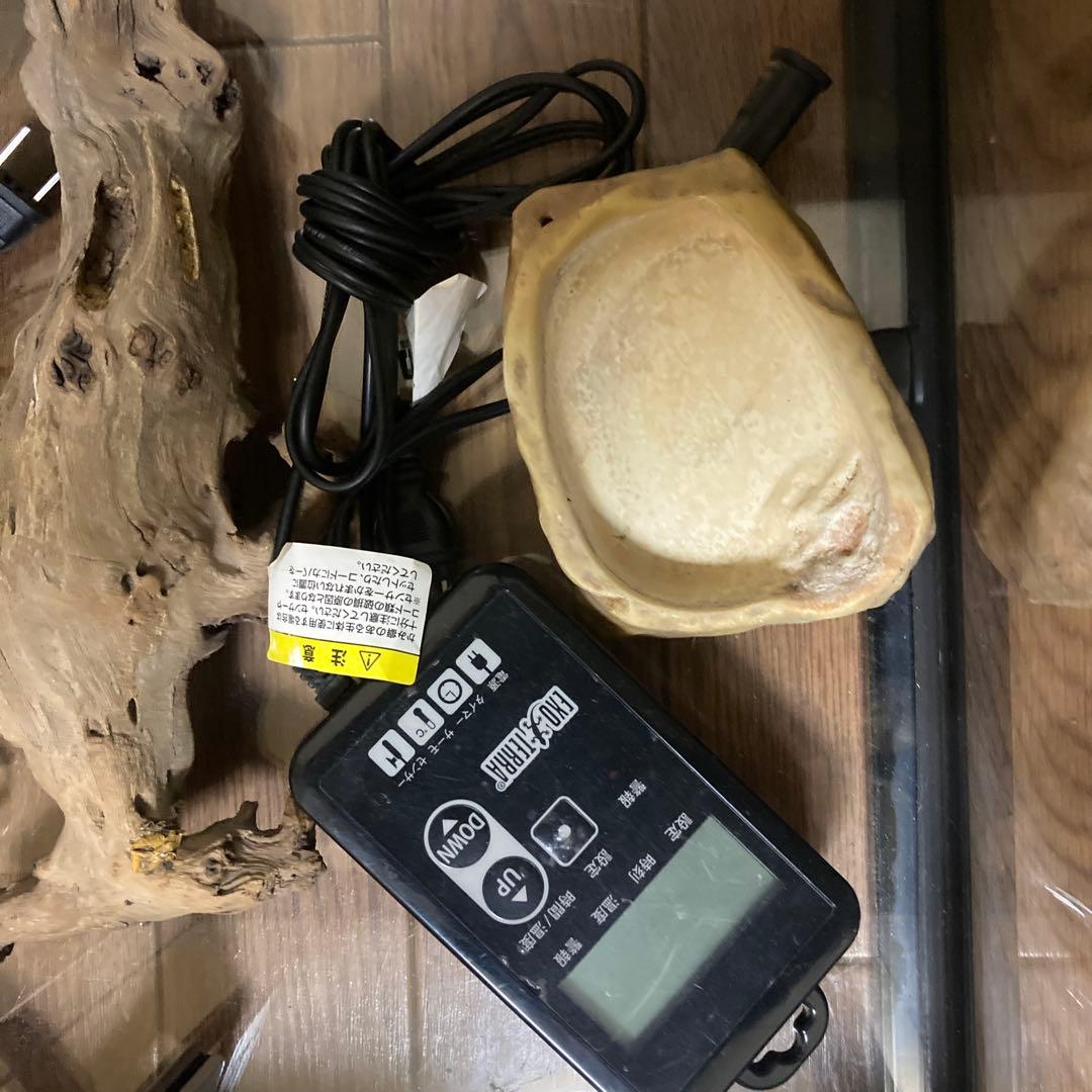 大型飼育ケージ ガラス製 メッシュカバー付きバラ売りも可能