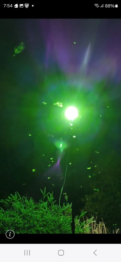 ライトトラップシステム200V 700W