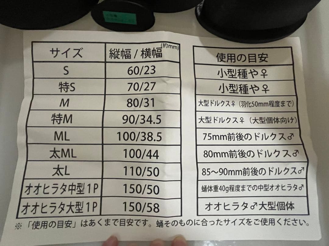 人工蛹室セット（多サイズ・ケース付き）