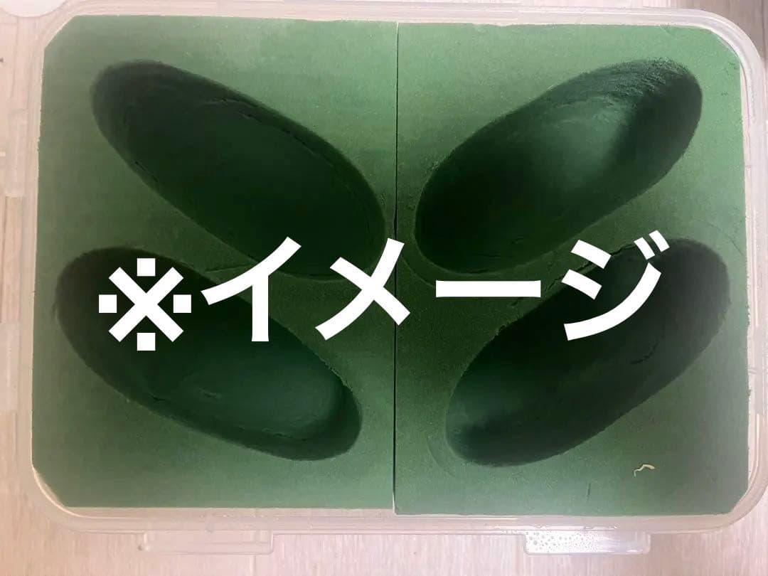 人工蛹室セット（多サイズ・ケース付き）