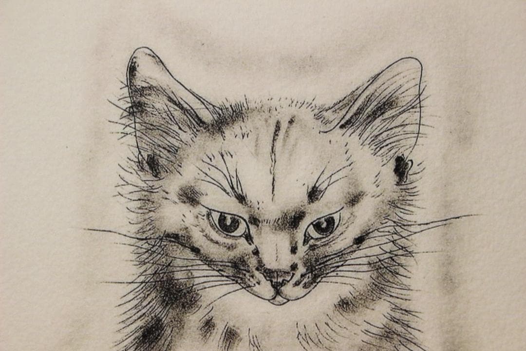 藤田嗣治 エスタンプリトグラフ 猫の本より「メッサリーナ」 150部限定