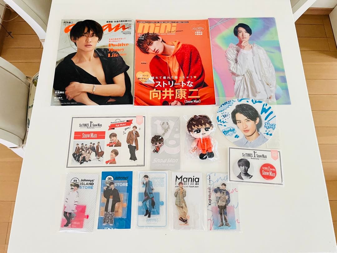 Man 向井康二　すのチル　ぬいぐるみ アクキー　アクスタセット