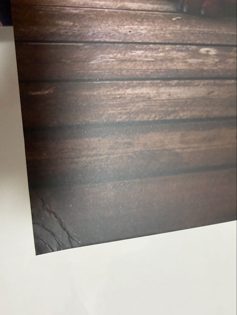 ディズニー ズートピア２ 台湾映画館限定　A3夜行ポスター　訳あり　2枚セット