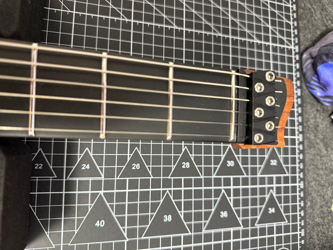 ギター strandberg Salen NX 6 Tremolo Plini