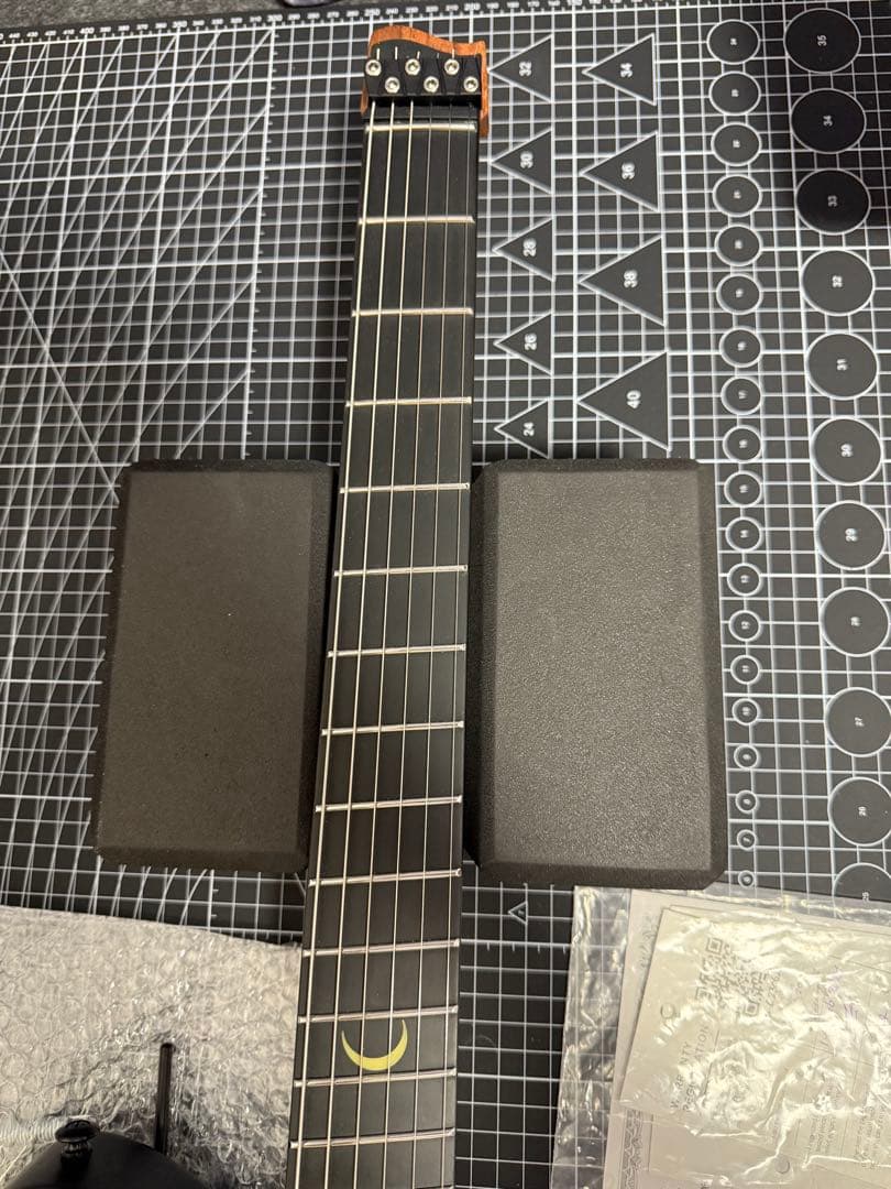 ギター strandberg Salen NX 6 Tremolo Plini